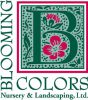 Blooming Colors