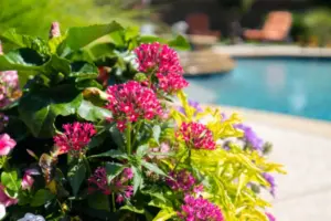 Southlake Remodel Space Swimming Pool Project - Claffey Pools