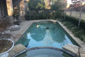 Straight-line Shape Remodel Swimming Pool Project - Claffey Pools