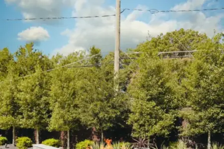 Water Fountain - Claffey Pools